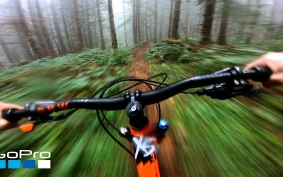 GoPro: Foggy Forest MTB