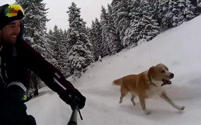 Daniel Ziemer’s Winter Footage – #ShotWithDrift