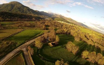 Drift HD Ghost: Aerial Paramotor