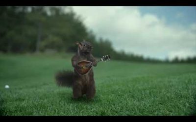Garmin 2009 Holiday Ad – Squirrel