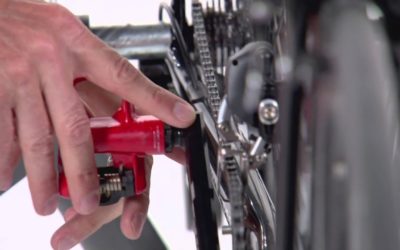 Ensuring Vector fits your bike