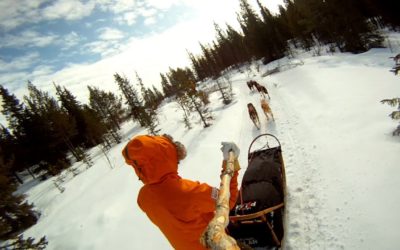 GoPro: Arctic Dogsled