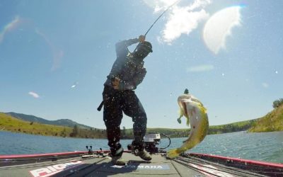 GoPro: The Search for the ShareLunker