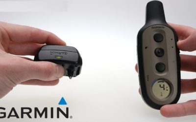 Support: Pairing a Delta Dog Device