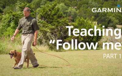 e-Collar Training with Garmin: Teaching “Follow Me” and Collar Conditioning, Part 1