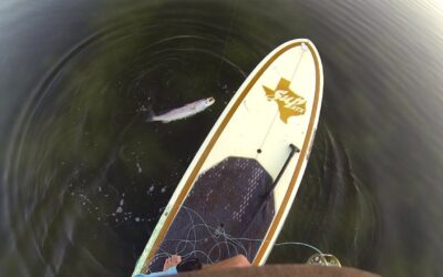 GoPro: SUP Fly Fishing