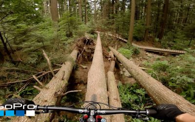 GoPro: Pinkbike’s “GoPro of the World” Winning Run 2019