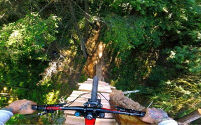 GoPro Awards: Insane MTB Tree Drop