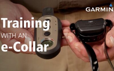 Garmin: Training with an e-Collar