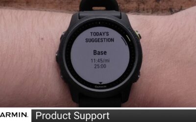 Support: Using Daily Suggested Workout