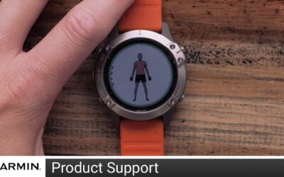 Support: Animated Workouts