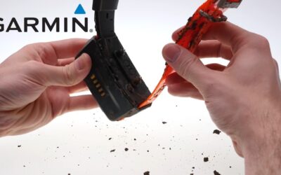 Support: Cleaning a Dog Collar