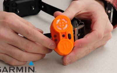 Support: Upland™ Beeper Pairing with a Pro 550