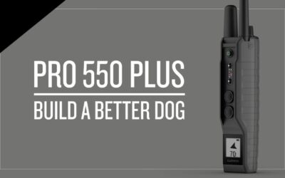 PRO 550 Plus: No-look Dog Training and Tracking