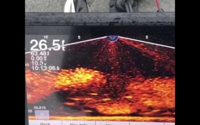 See bait fish schools with Panoptix LiveScope