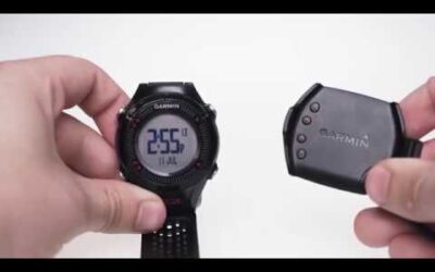 Support: Troubleshooting “No Courses Near”