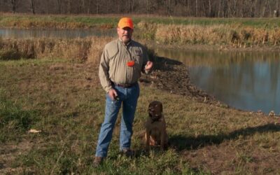 e-Collar Training with Garmin: Using Vibration on Soft Dogs