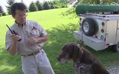 Introducing the E-Collar