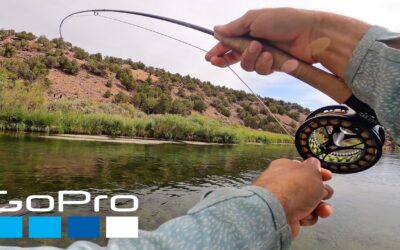 GoPro: Fishing and Camping with Flylords