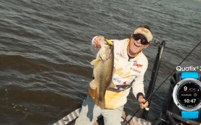 quatix 3: Counting Fish and Catching Memories