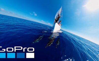 GoPro Awards: Sailing with Dolphins