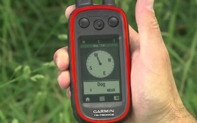 Garmin Alpha®  100 Handheld