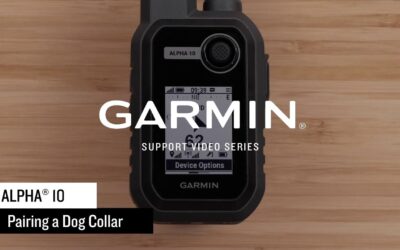 Support: Pairing a Collar with an Alpha® 10