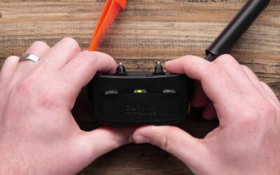 Support: Pairing a Collar with an Alpha® 100