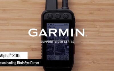 Support: Downloading BirdsEye to an Alpha® 200i
