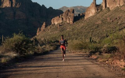 Garmin | Forerunner 955 Series