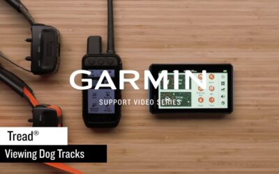 Support: Viewing Dog Tracks on the Tread®