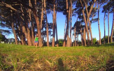 Wings of Kilimanjaro – Best Action Video Camera With Anita