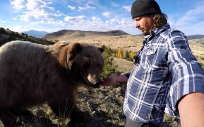 GoPro: Man and Grizzly Bear – A Unique Relationship
