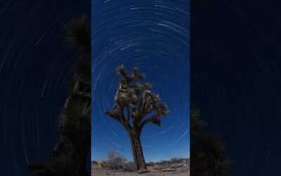 GoPro | Joshua Tree Milky Way Star Trails 🎬 Tristan Stokes #Shorts