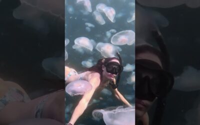 GoPro | Free Diving Through Endless Jellyfish 🎬 Jolene Fargo #Shorts