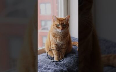 POV: you haven’t charged your #Venu2Plus in over a week. #BatteryForDays