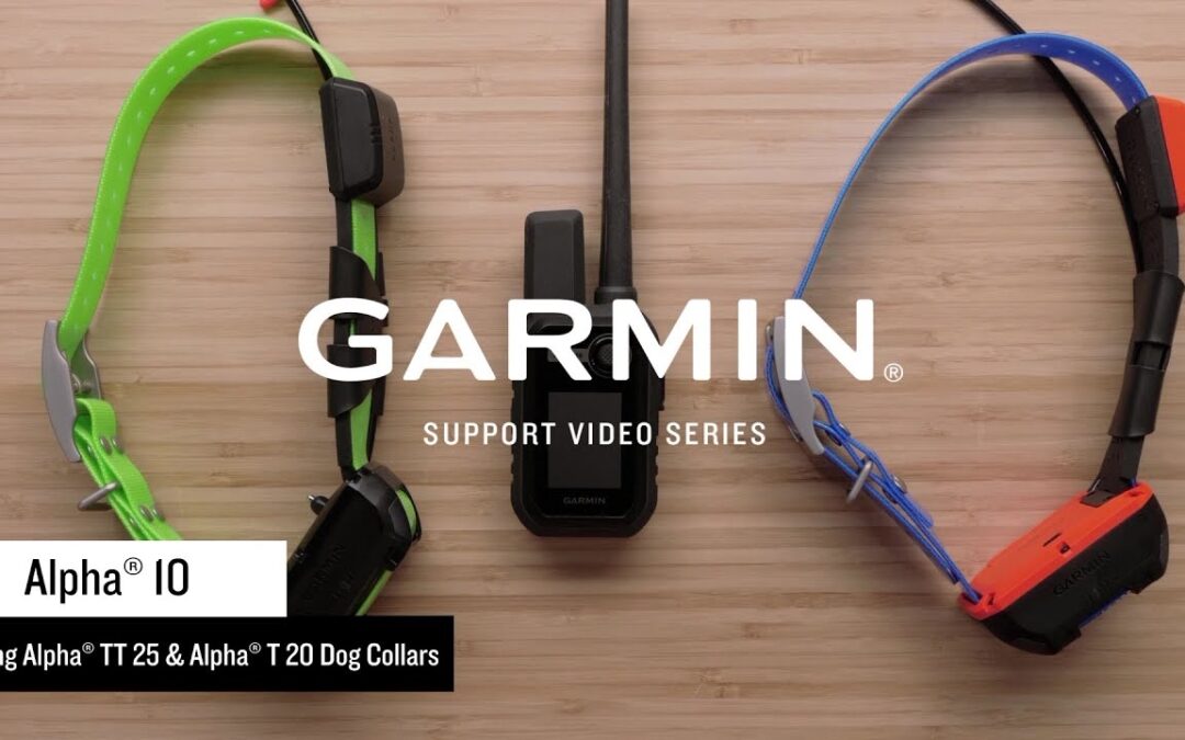Garmin Support | Alpha® 10 | Pairing with an Alpha® TT 25 or T 20 Collar