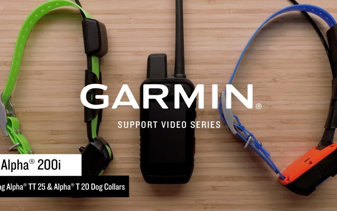 Garmin Support | Alpha® 200 Series | Pairing with an Alpha® TT 25 or T 20 Collar