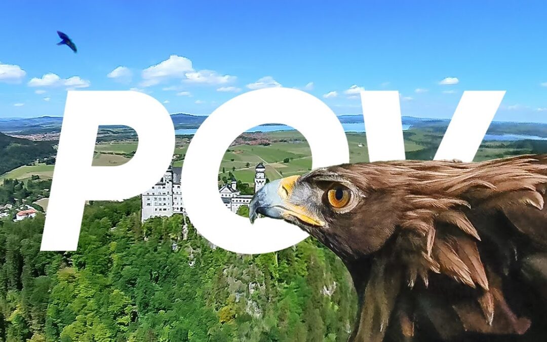 Eagle POV: 360 VR Flying Over Disney Castle