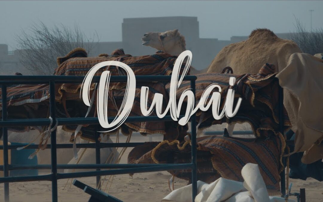 Insta360 – Dubai Adventure