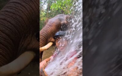 GoPro | HERO12 Black 📷 Waterproof + Ultra Durable