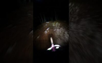 GoPro: Creepy High-Speed Night MTB Ride 🎬 Giulio Coglitore #Shorts #MTB