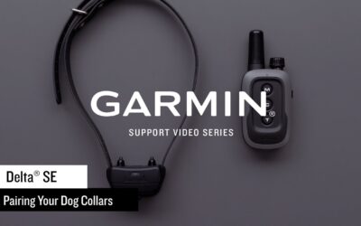 Support: Delta® SE Dog Collar/Transmitter Pairing