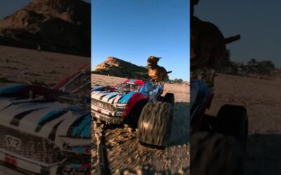 GoPro | Beach Dogs vs RC Car 🎬 #Shorts #Dogs