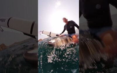 GoPro | Australian Wing Foiler Collides with Whale