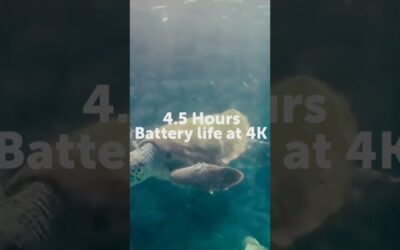 Awesome underwater footage with Drift! 🐟#DriftUSA #DriftInnovation #Underwater