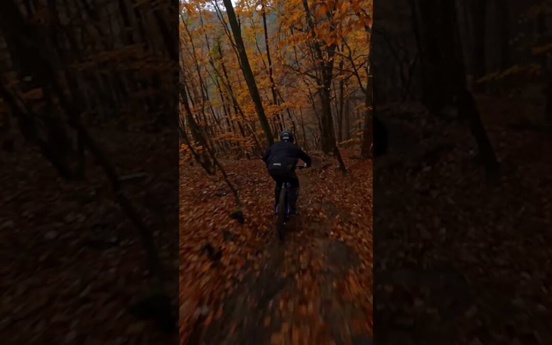 GoPro | High-Speed MTB Follow Cam Through Forest 🎬 Antoine Buffart #Shorts #MTB