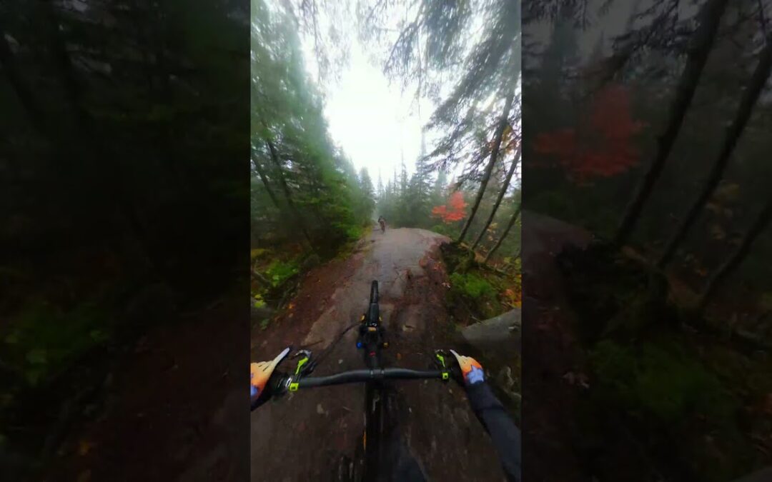 GoPro | Insanely Fast Mountain Biking POV 🎬 Alexandre Chapellier #Shorts #MTB