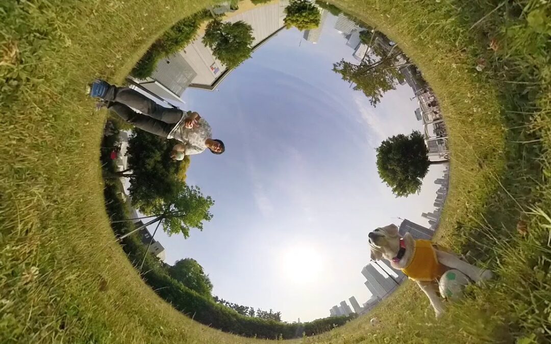 Insta360 ONE – Catch The Ball