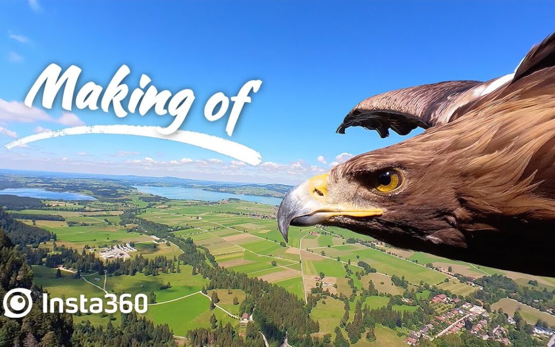 Insta360 – How to Film an Eagle POV (ft. Paul Klima)
